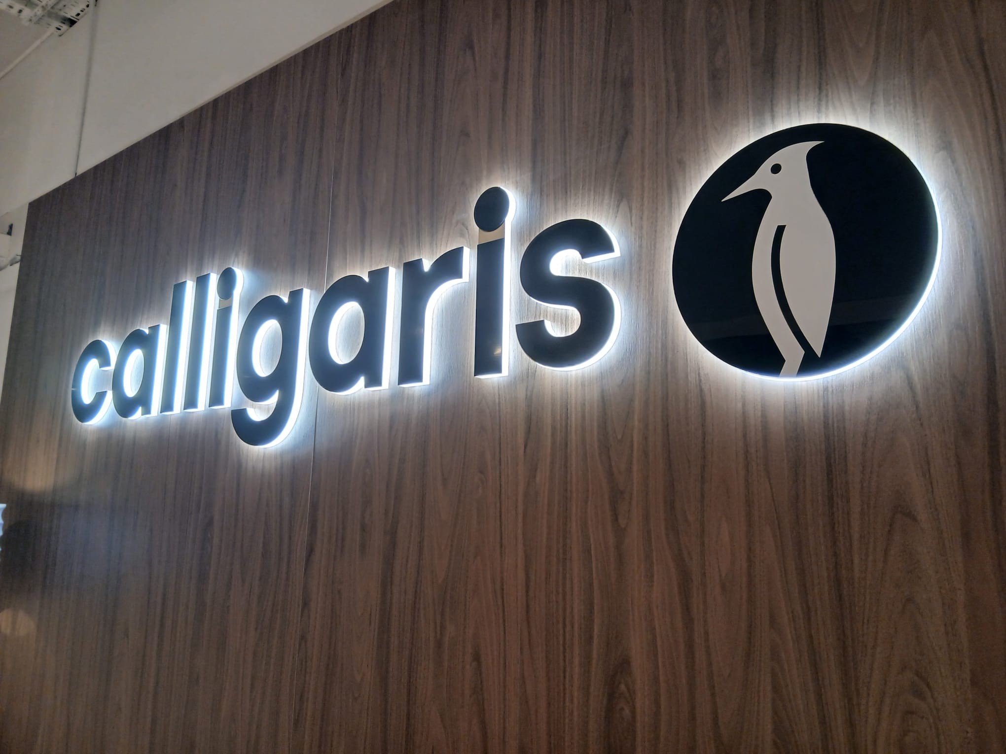 Znak graficzny Calligaris z podświetleniem od tyłu na ścianie showroomu